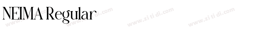 NEIMA Regular字体转换